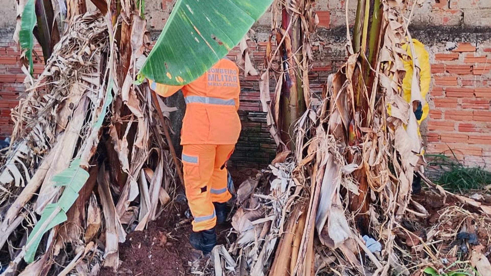 foto Notícia São João do Paraíso